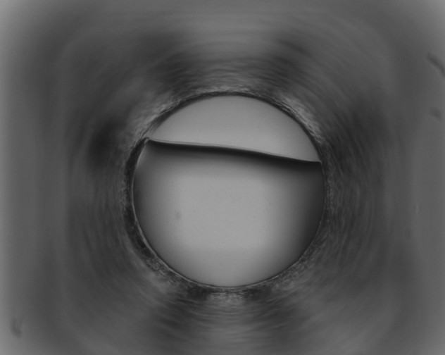 X0000093220354200709261450
