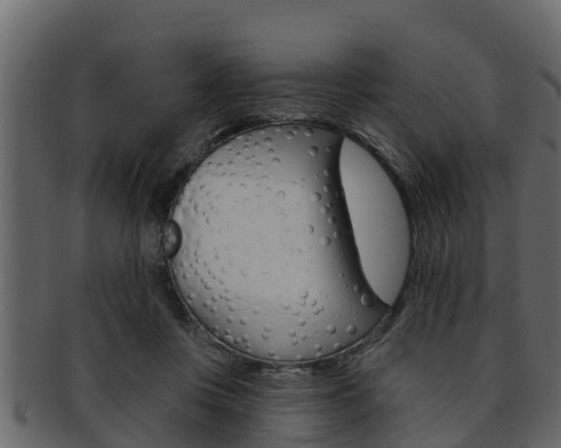 X0000093220359200709261451