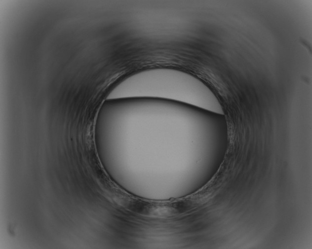 X0000093220360200709261451