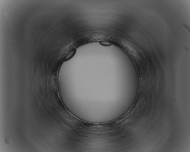 X0000093220361200709261451
