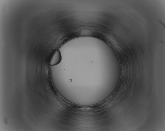 X0000093220363200709261451
