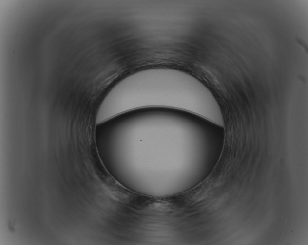 X0000093220364200709261451