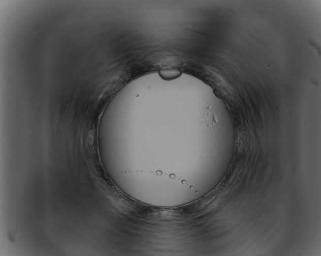X0000093220365200709261451