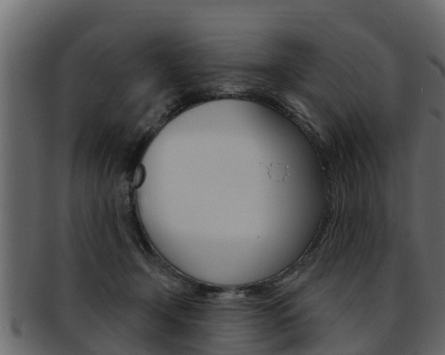 X0000093220366200709261451
