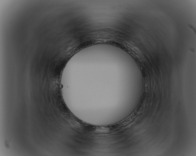 X0000093220369200709261451