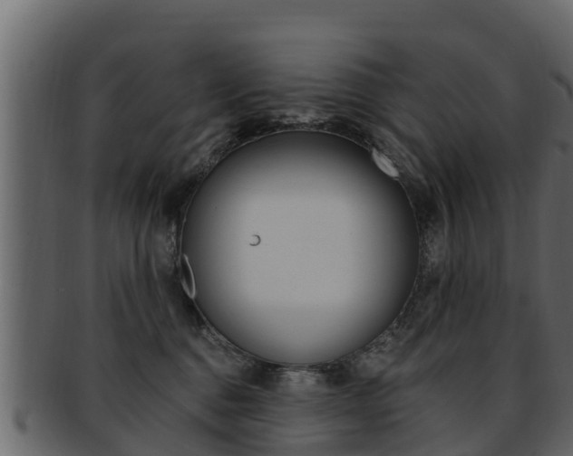 X0000093220376200709261451