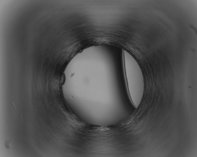 X0000093220379200709261451