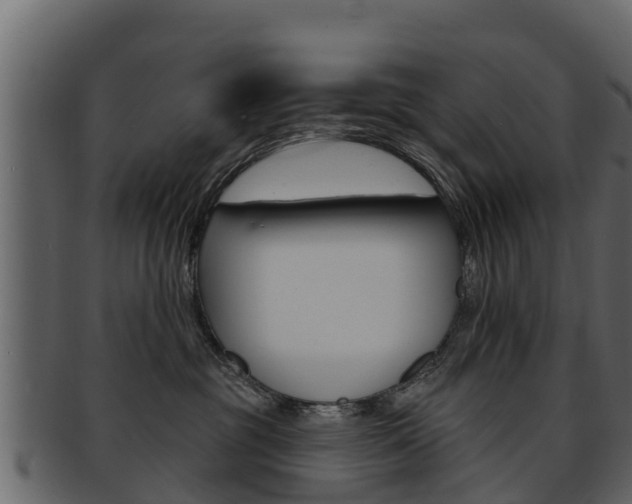 X0000093220381200709261451