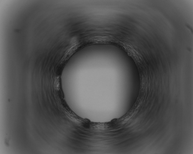 X0000093220383200709261451