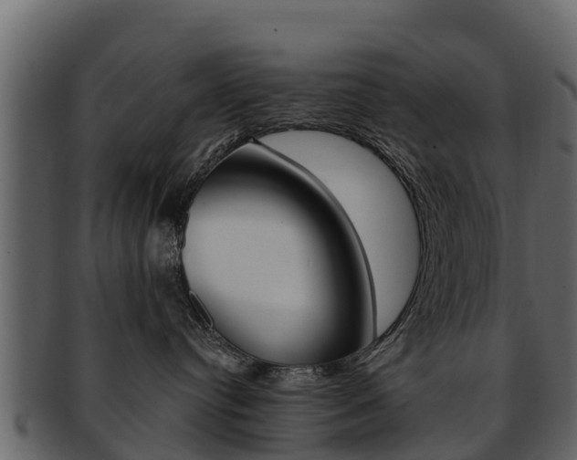 X0000093220384200709261451