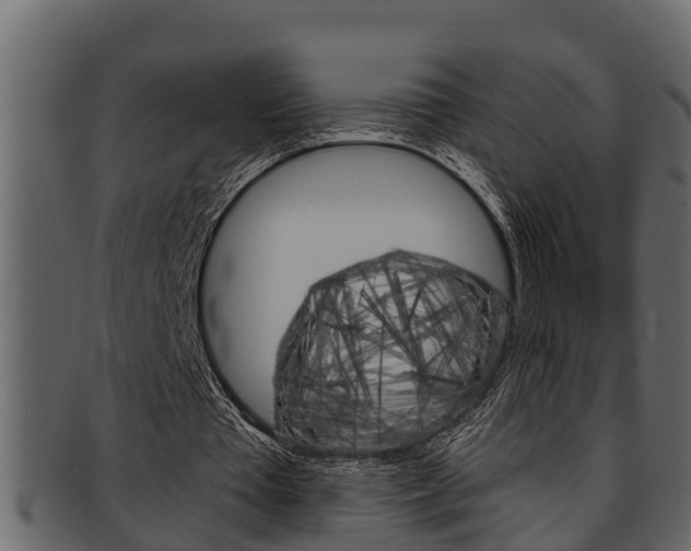 X0000093220385200709261450