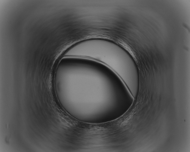 X0000093220387200709261450