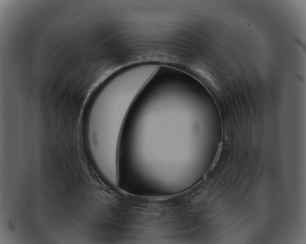 X0000093220388200709261450