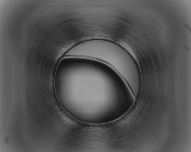 X0000093220389200709261450