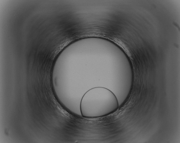 X0000093220393200709261450