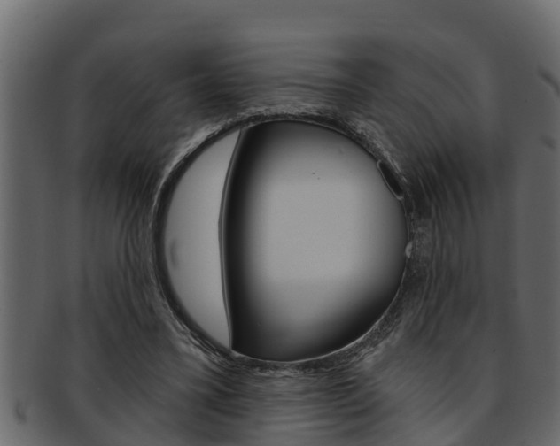 X0000093220395200709261450
