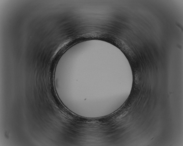 X0000093220396200709261450