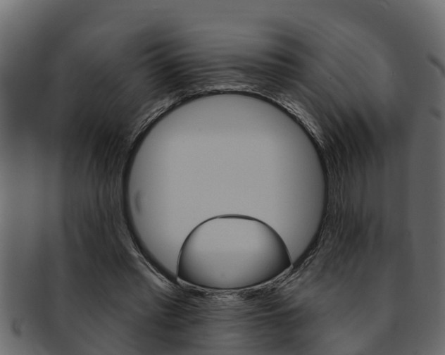 X0000093220397200709261450