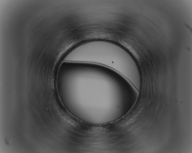 X0000093220399200709261450
