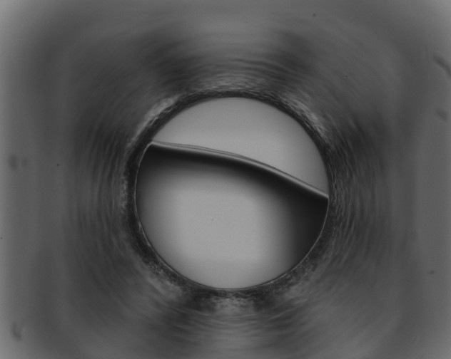 X0000093220400200709261450