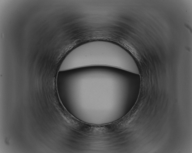 X0000093220401200709261450