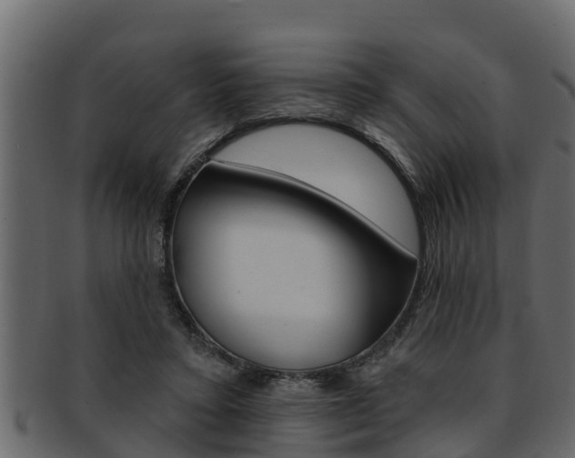 X0000093220403200709261450