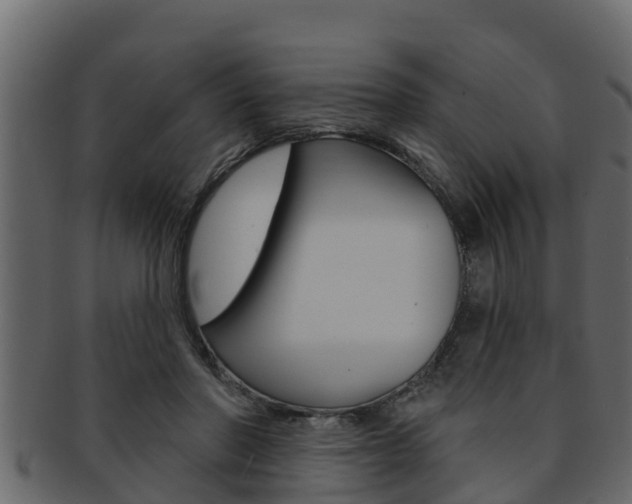 X0000093220406200709261450