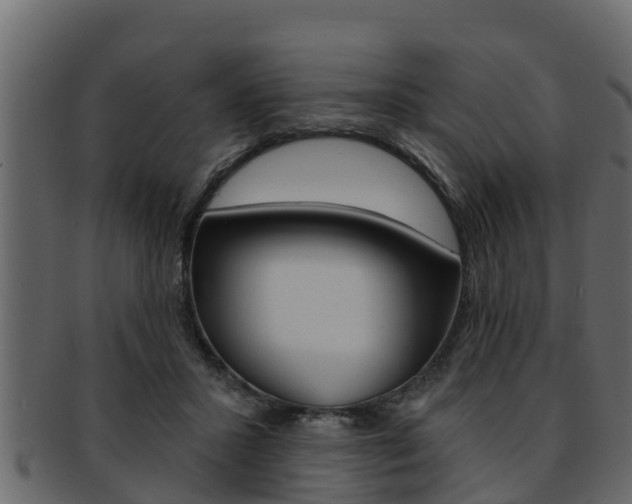 X0000093220407200709261450
