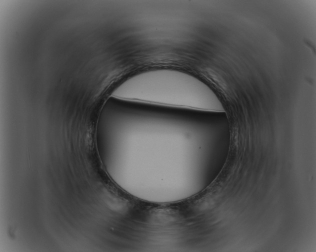 X0000093220408200709261450