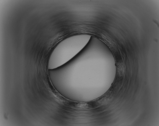 X0000093220410200709261450