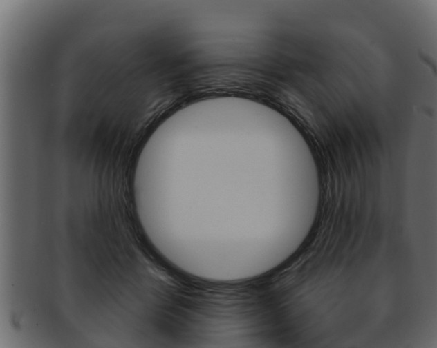 X0000093220412200709261450