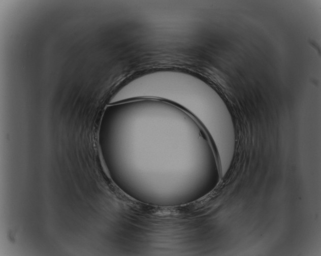 X0000093220415200709261450