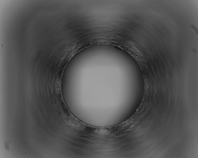 X0000093220419200709261450