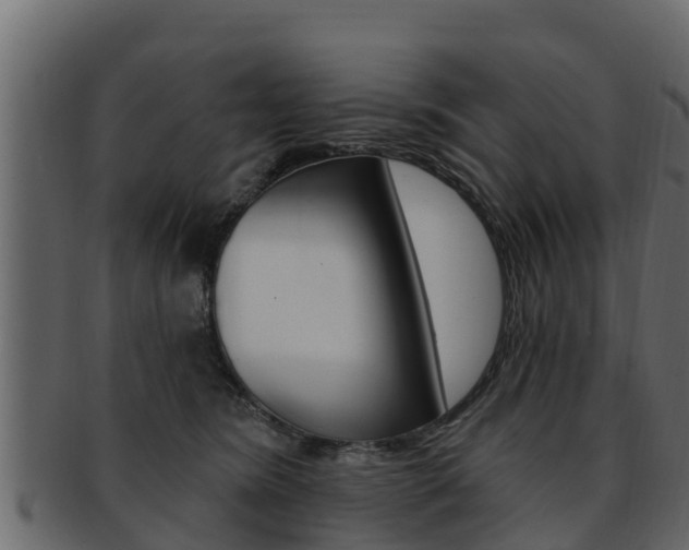 X0000093220420200709261450