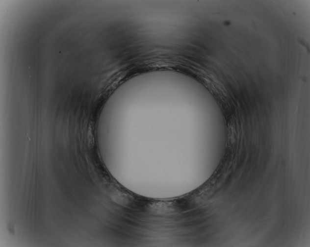 X0000093220422200709261450