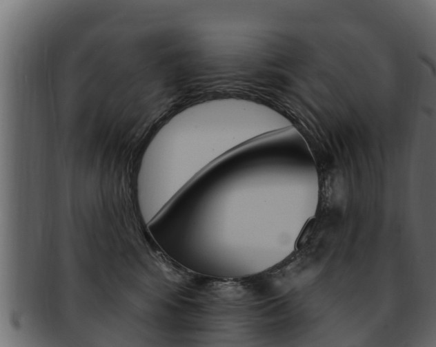 X0000093220424200709261450