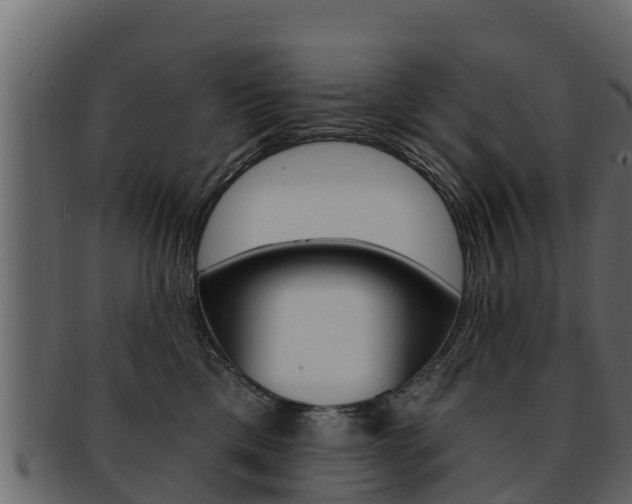X0000093220425200709261450