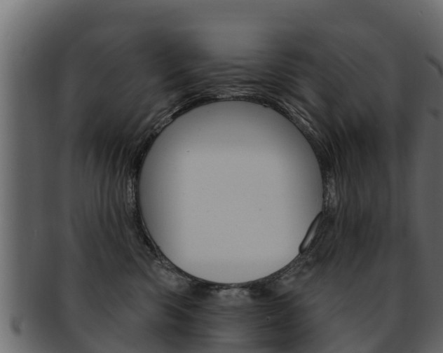 X0000093220426200709261450