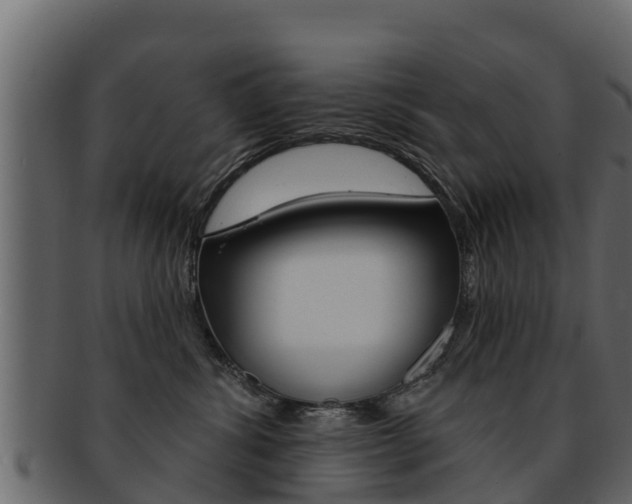 X0000093220428200709261450