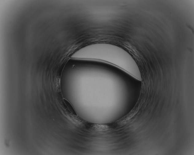 X0000093220429200709261450