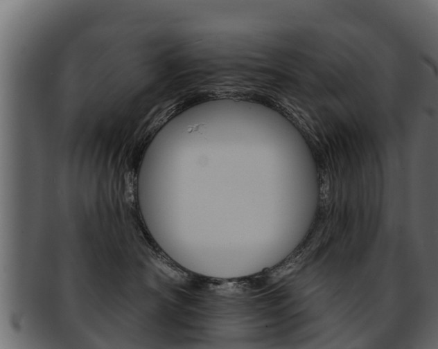 X0000093220430200709261450