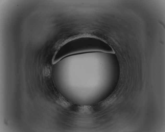 X0000093220432200709261450