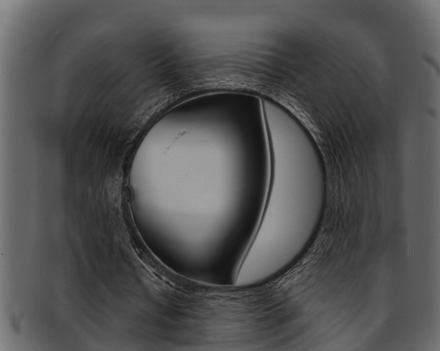 X0000093220434200709261449