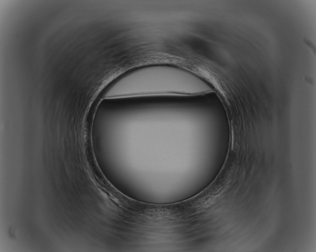 X0000093220435200709261449