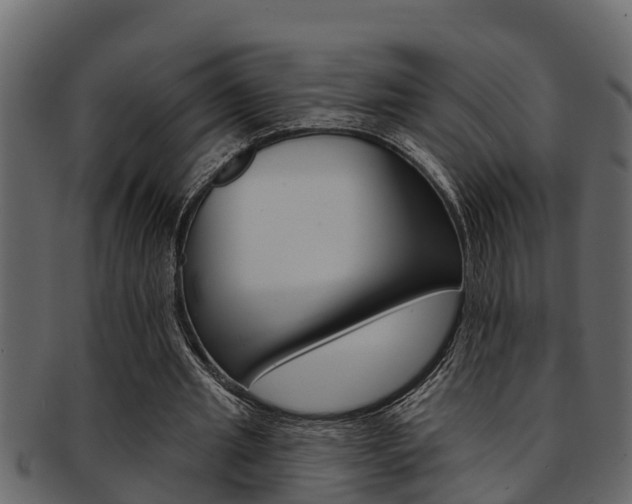 X0000093220437200709261449