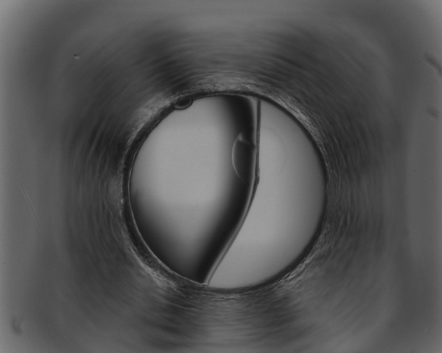X0000093220438200709261449