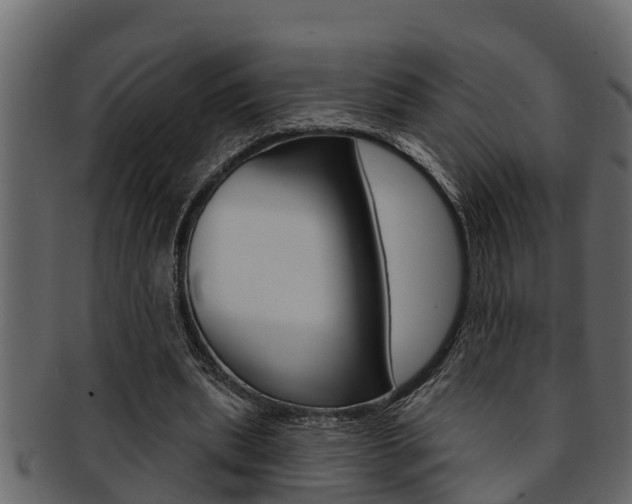 X0000093220439200709261449
