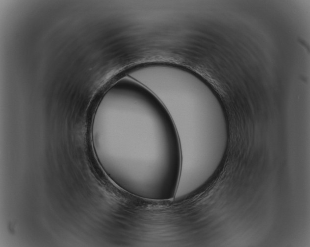 X0000093220440200709261449
