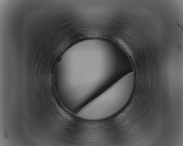 X0000093220441200709261449