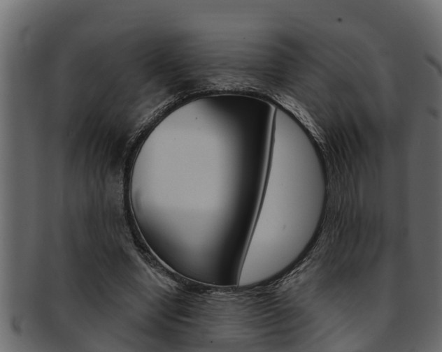 X0000093220442200709261449